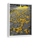 Flores amarillas en banqueta - FotoCompagny | Cuadro decorativo de Canvas Lab