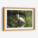 Garza caminando en agua - FotoCompagny | Cuadro decorativo de Canvas Lab