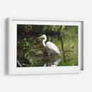 Garza caminando en agua - FotoCompagny | Cuadro decorativo de Canvas Lab