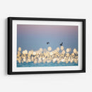 Luces marinas #1 - Emilio Santamaria