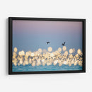 Luces marinas #1 - Emilio Santamaria