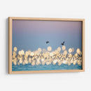 Luces marinas #1 - Emilio Santamaria