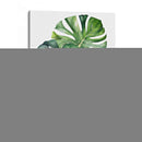 Monstera - Infiniity Art | Cuadro decorativo de Canvas Lab