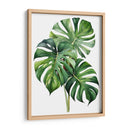 Monstera - Infiniity Art | Cuadro decorativo de Canvas Lab