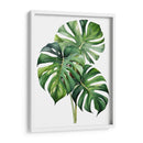 Monstera - Infiniity Art | Cuadro decorativo de Canvas Lab