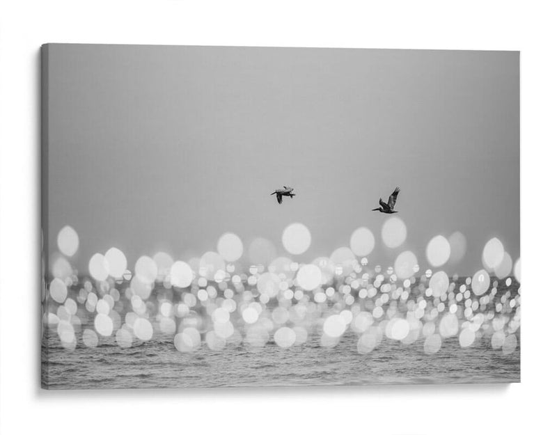 Luces marinas #2 - Emilio Santamaria