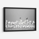 Luces marinas #2 - Emilio Santamaria