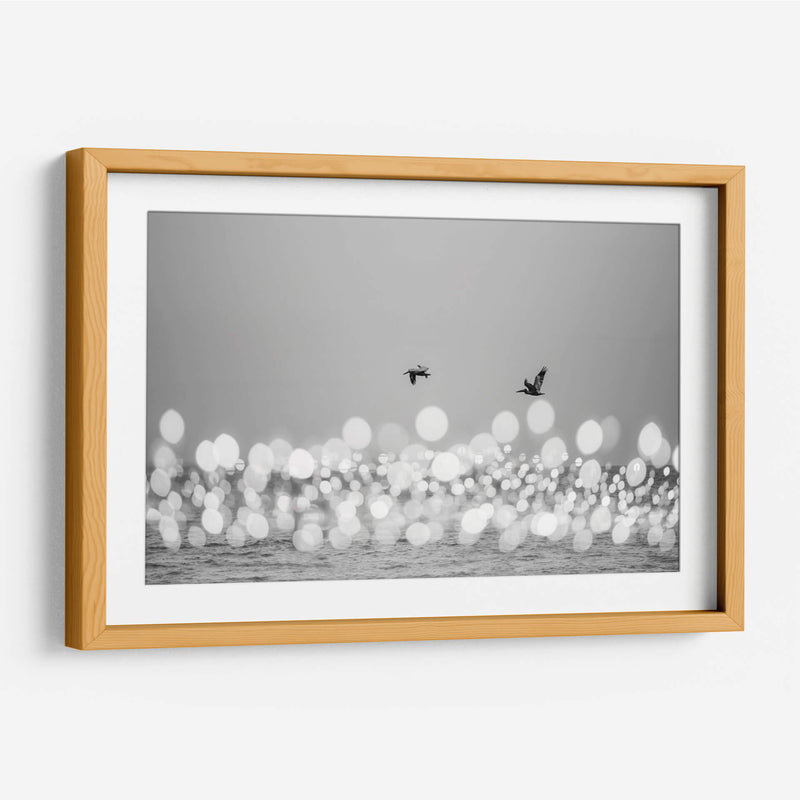 Luces marinas #2 - Emilio Santamaria