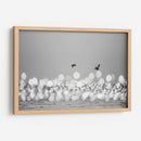 Luces marinas #2 - Emilio Santamaria