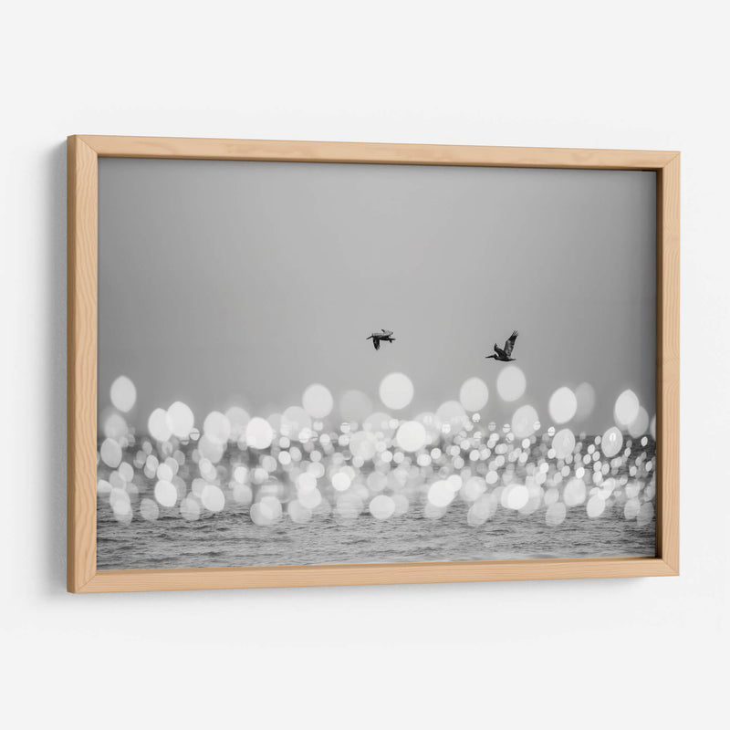 Luces marinas #2 - Emilio Santamaria