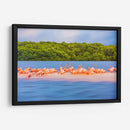 Flamingos - Guillermo Aparicio | Cuadro decorativo de Canvas Lab