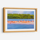 Flamingos - Guillermo Aparicio | Cuadro decorativo de Canvas Lab