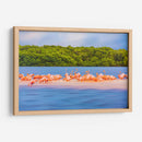 Flamingos - Guillermo Aparicio | Cuadro decorativo de Canvas Lab