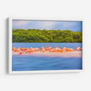 Flamingos - Guillermo Aparicio | Cuadro decorativo de Canvas Lab