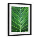 Orgánica #2 - Emilio Santamaria