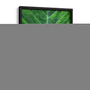 Orgánica #2 - Emilio Santamaria