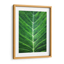 Orgánica #2 - Emilio Santamaria