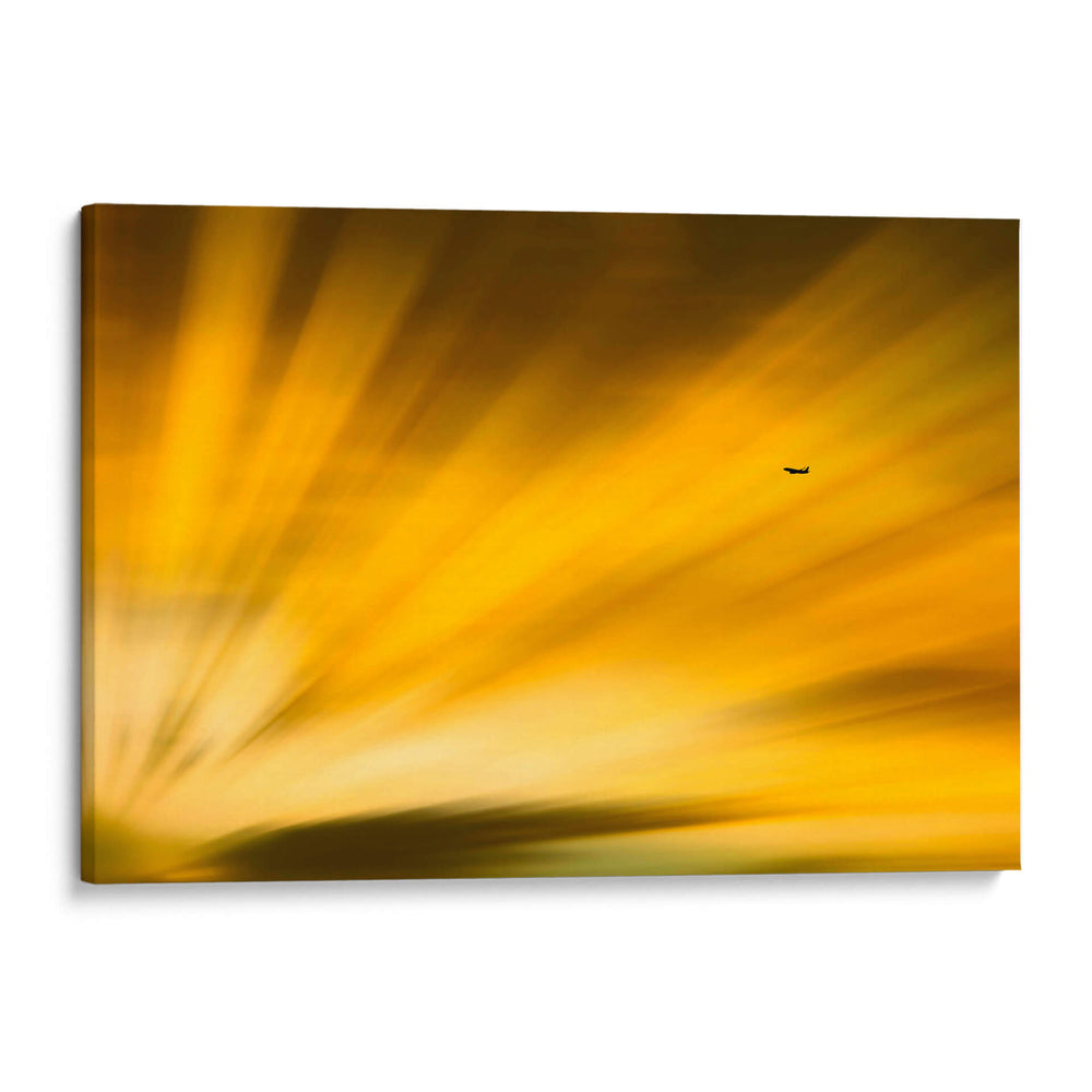 Vuelo al atardecer II - Guillermo Aparicio | Cuadro decorativo de Canvas Lab