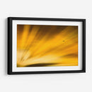 Vuelo al atardecer II - Guillermo Aparicio | Cuadro decorativo de Canvas Lab