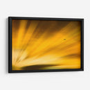 Vuelo al atardecer II - Guillermo Aparicio | Cuadro decorativo de Canvas Lab