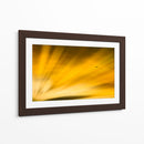 Vuelo al atardecer II - Guillermo Aparicio | Cuadro decorativo de Canvas Lab