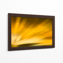 Vuelo al atardecer II - Guillermo Aparicio | Cuadro decorativo de Canvas Lab