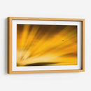 Vuelo al atardecer II - Guillermo Aparicio | Cuadro decorativo de Canvas Lab