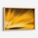 Vuelo al atardecer II - Guillermo Aparicio | Cuadro decorativo de Canvas Lab