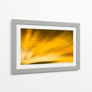 Vuelo al atardecer II - Guillermo Aparicio | Cuadro decorativo de Canvas Lab