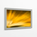 Vuelo al atardecer II - Guillermo Aparicio | Cuadro decorativo de Canvas Lab
