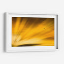 Vuelo al atardecer II - Guillermo Aparicio | Cuadro decorativo de Canvas Lab