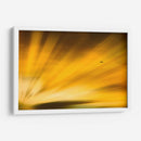 Vuelo al atardecer II - Guillermo Aparicio | Cuadro decorativo de Canvas Lab