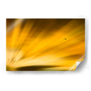 Vuelo al atardecer II - Guillermo Aparicio | Cuadro decorativo de Canvas Lab