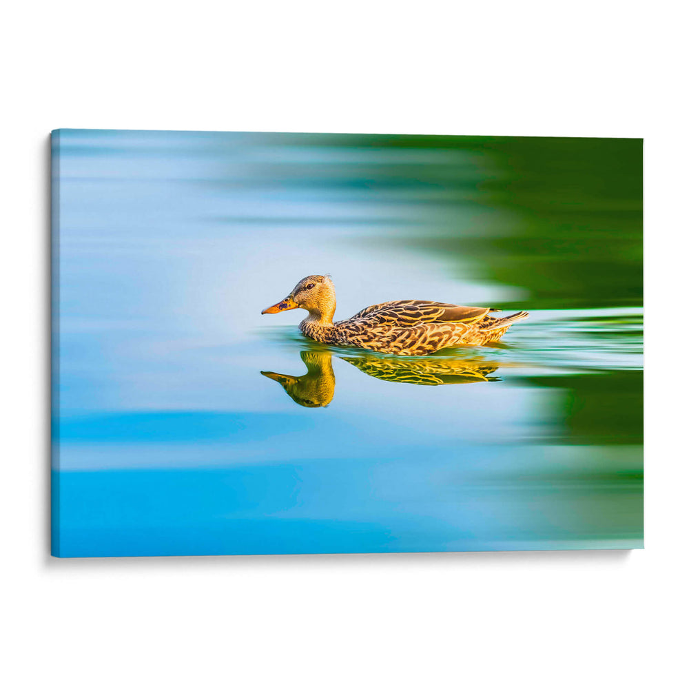 Pato Mexicano - Guillermo Aparicio | Cuadro decorativo de Canvas Lab