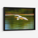 Garza al vuelo - Guillermo Aparicio | Cuadro decorativo de Canvas Lab