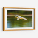 Garza al vuelo - Guillermo Aparicio | Cuadro decorativo de Canvas Lab