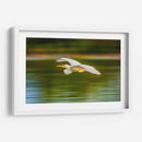 Garza al vuelo - Guillermo Aparicio | Cuadro decorativo de Canvas Lab