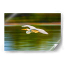 Garza al vuelo - Guillermo Aparicio | Cuadro decorativo de Canvas Lab