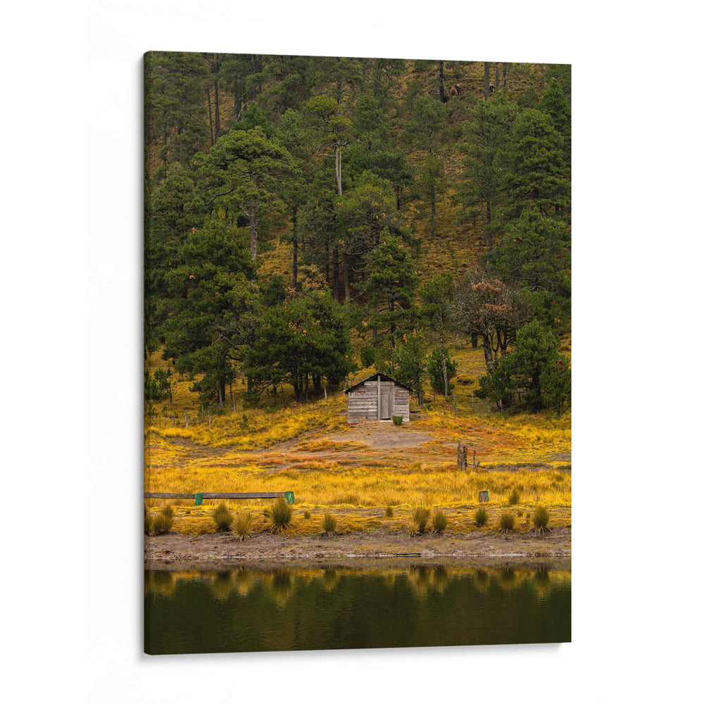 Cabaña en la naturaleza - ALEJANDRE PHOTOGRAPHY | Cuadro decorativo de Canvas Lab