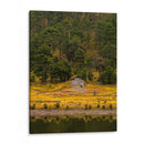 Cabaña en la naturaleza - ALEJANDRE PHOTOGRAPHY | Cuadro decorativo de Canvas Lab