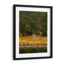 Cabaña en la naturaleza - ALEJANDRE PHOTOGRAPHY | Cuadro decorativo de Canvas Lab