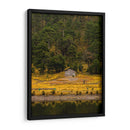 Cabaña en la naturaleza - ALEJANDRE PHOTOGRAPHY | Cuadro decorativo de Canvas Lab