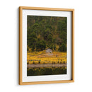 Cabaña en la naturaleza - ALEJANDRE PHOTOGRAPHY | Cuadro decorativo de Canvas Lab