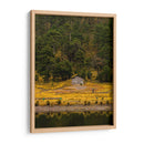 Cabaña en la naturaleza - ALEJANDRE PHOTOGRAPHY | Cuadro decorativo de Canvas Lab