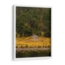 Cabaña en la naturaleza - ALEJANDRE PHOTOGRAPHY | Cuadro decorativo de Canvas Lab