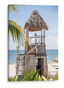 Tropical - Emilio Santamaria | Cuadro decorativo de Canvas Lab