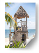 Tropical - Emilio Santamaria | Cuadro decorativo de Canvas Lab