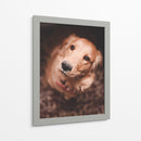 Una mirada leal | Cuadro decorativo de Canvas Lab