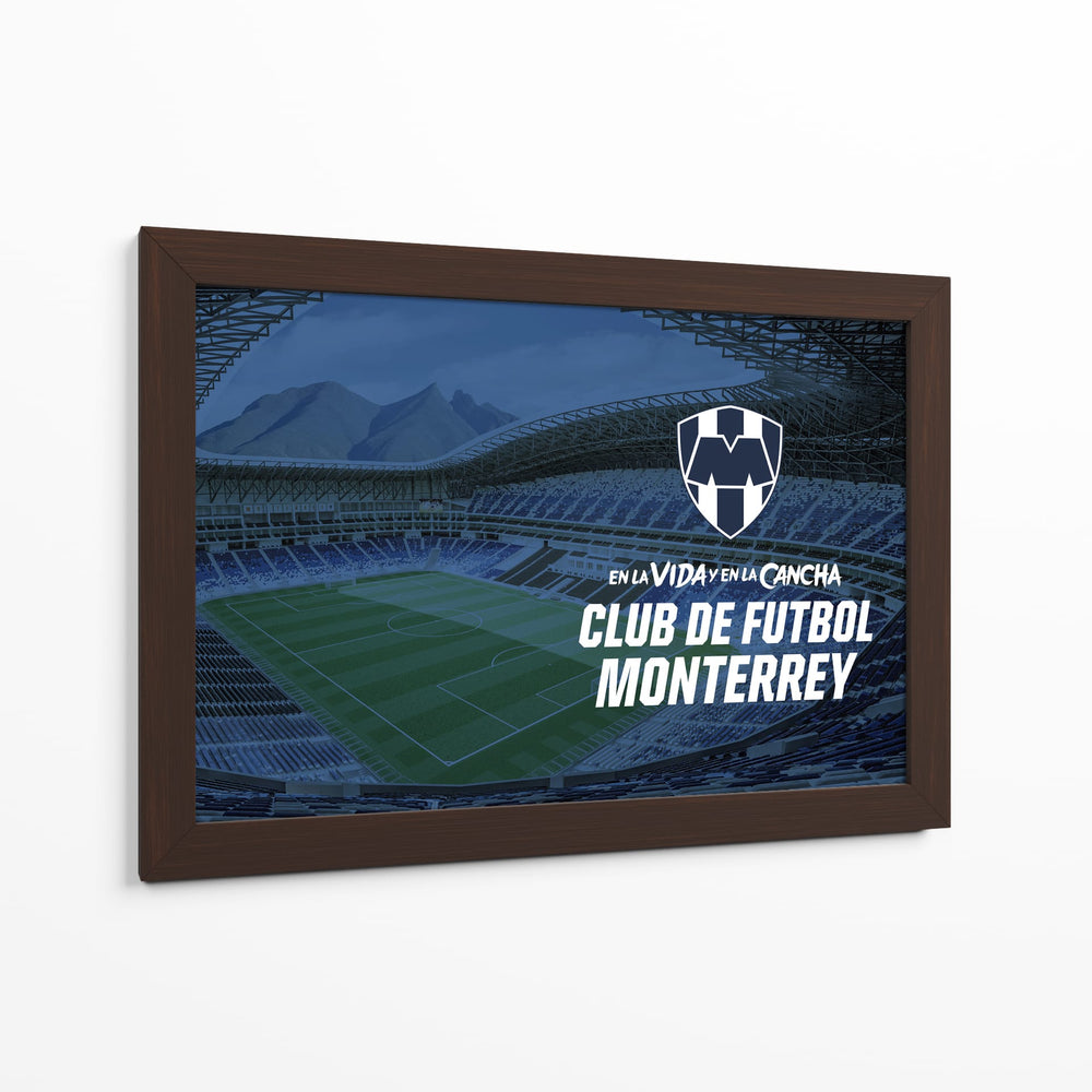 Estadio en la vida y en la cancha ii - Rayados | Cuadro decorativo de Canvas Lab