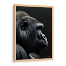 Belleza Animal - Gorila - DeLaVegaGaming | Cuadro decorativo de Canvas Lab